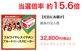 ビックカメラ 2026 新春福箱 ワイヤレスイヤホン