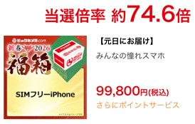 ビックカメラ 2026 新春福箱 iPhone