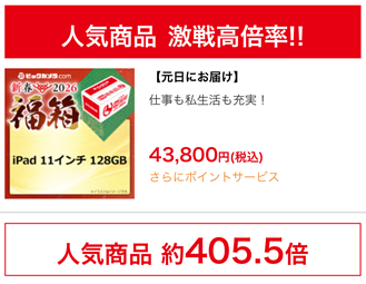 ビックカメラ 2026 新春福箱 iPad