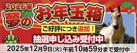 ヨドバシ　2026　追加抽選　1