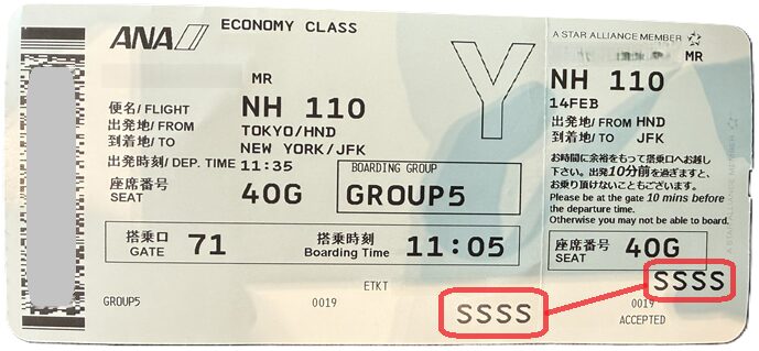 SSSS 謎のANAチケット